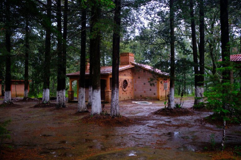 DIA DE LLUVIA