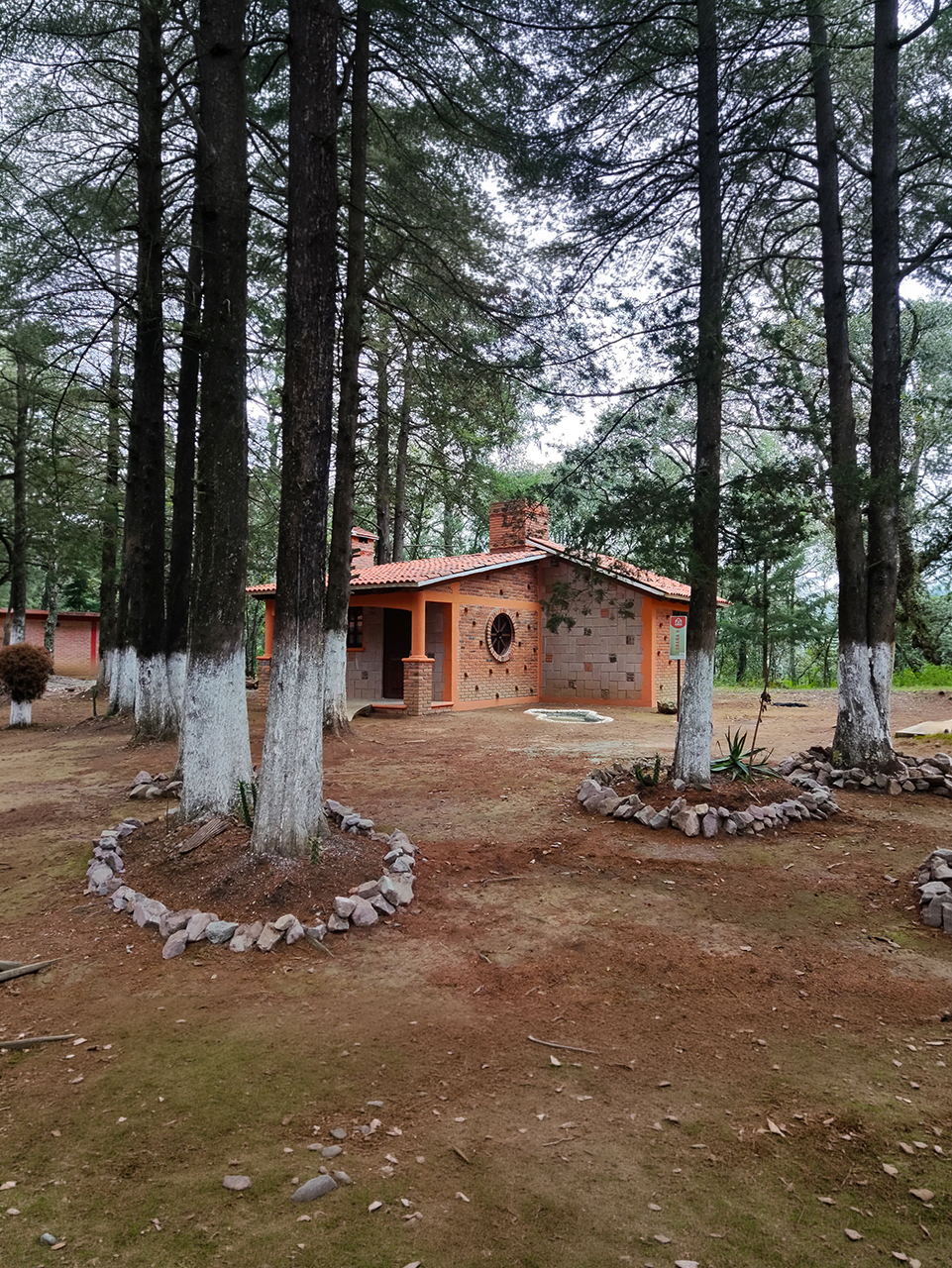 Home 12