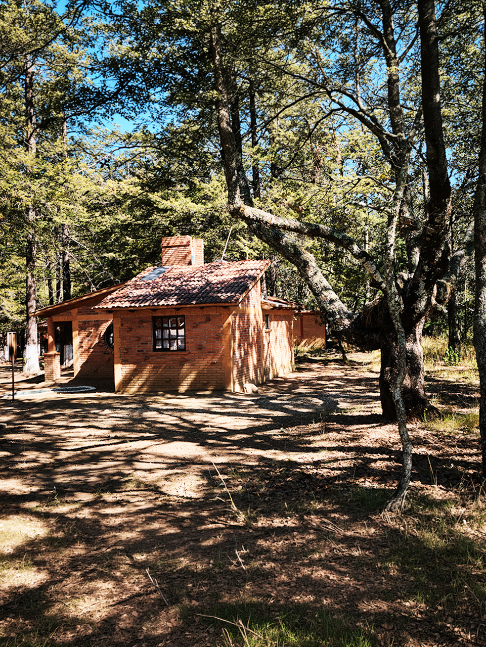 Home 13
