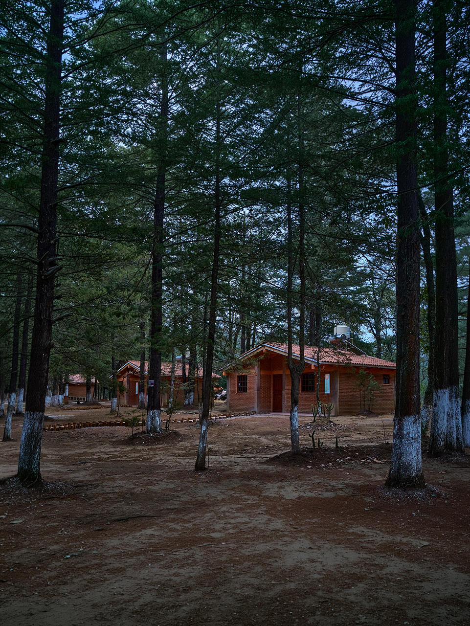 Home 3
