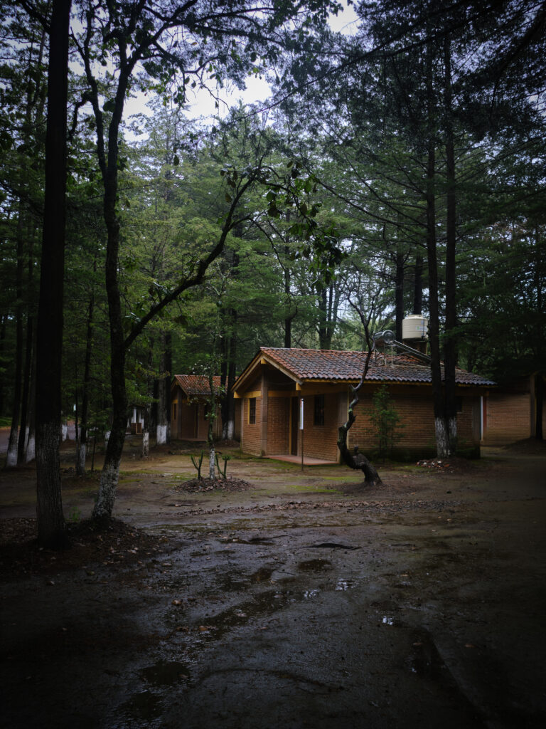 8jpg