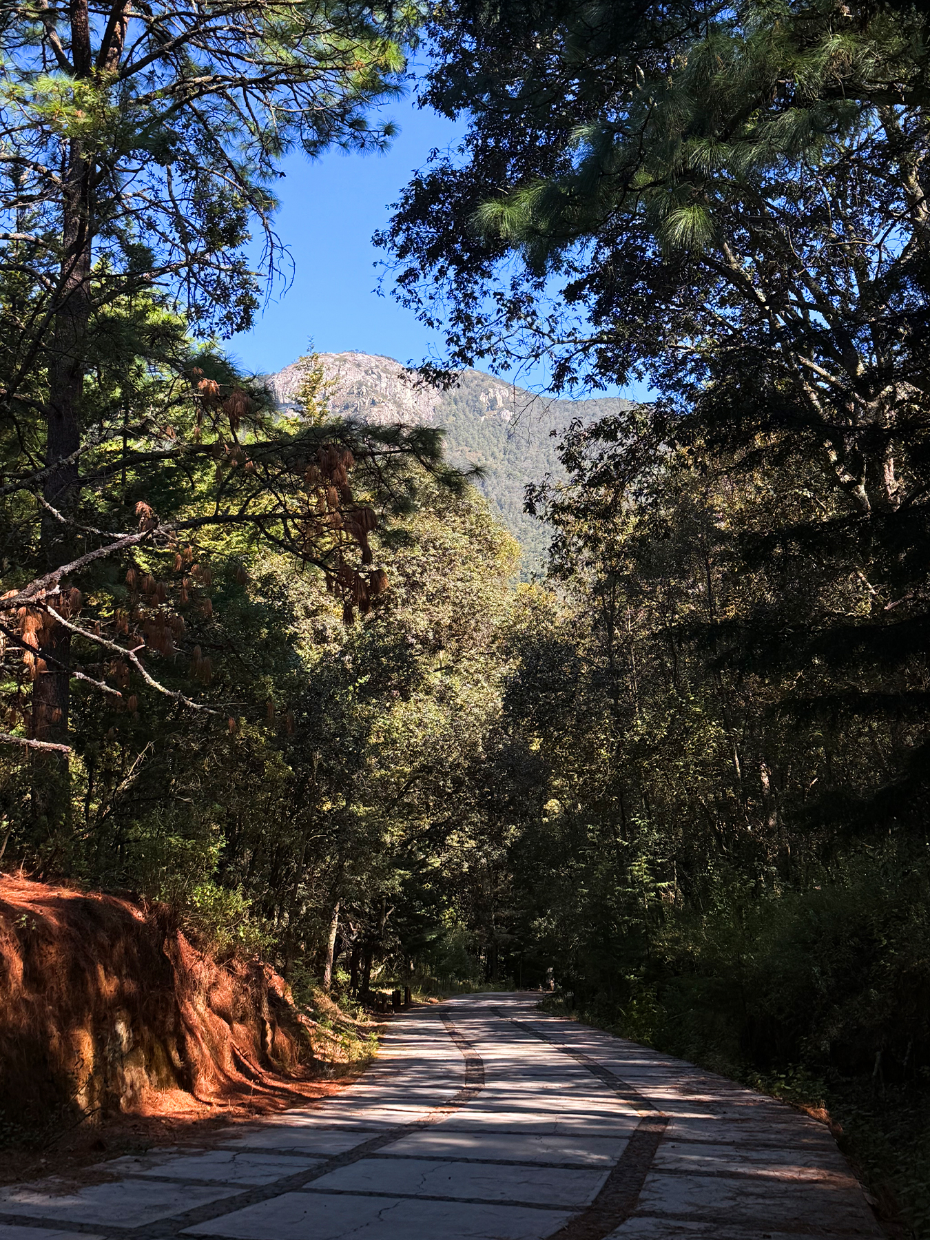 camino 2